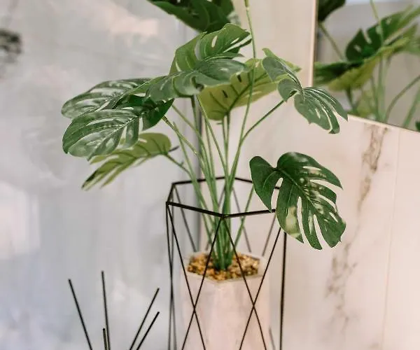 Apartman Rent Mariana Mokwy 20 Sopot