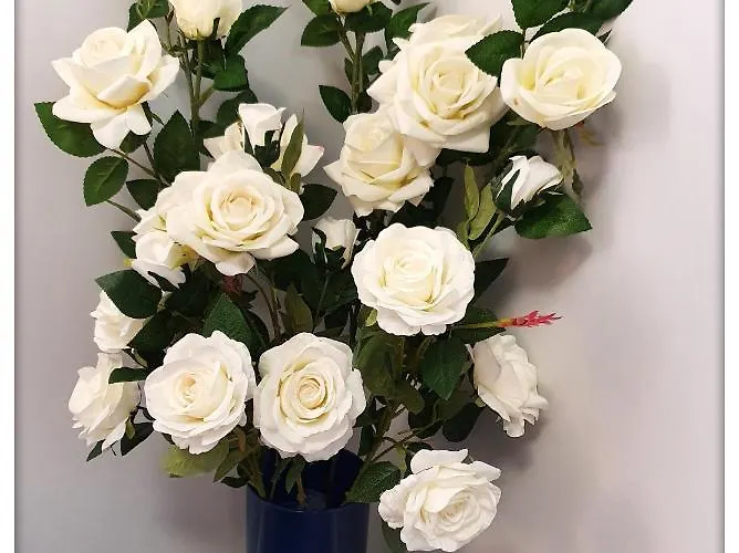 Apartman Rent Mariana Mokwy 20