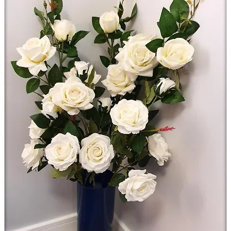 Daire Rent Mariana Mokwy 20